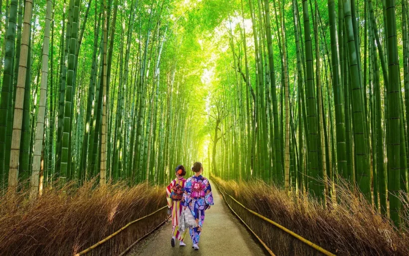 shutterstock_552097969_Bamboo_forest_of_Arashiyama_near_Kyoto_Japan_551bace6f0